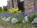 Front gate gardens with lavender and ground cover