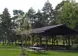 Covered picnic shelter with picnic tables and shade trees