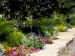 Summer flowers and shrubs and tress along the pathway to the train