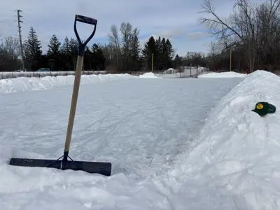 Recently shoveled outdoor rink near Farmcrest Park