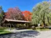 picnic shelter
