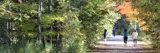 People walking along a path through an urban forest 