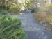 Sun shining through trees and shrubs along a path that leads to the sundial
