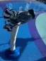 zebra water sprayer in the splash pad